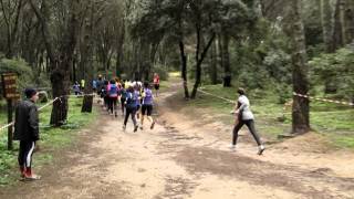 preview picture of video '2013 02 03 Cross Ugolio Nuoro - Partenza gara femminile'