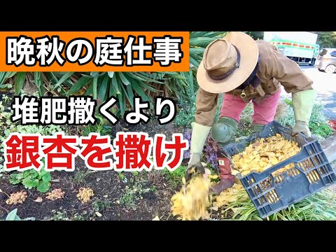 園芸 プレッシング