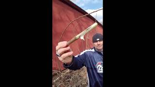 Download lagu Rambo knife collection review mp3