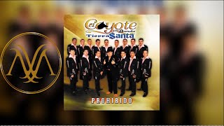 El Coyote Y Su Banda Tierra Santa - Para Impresionarte (Audio)