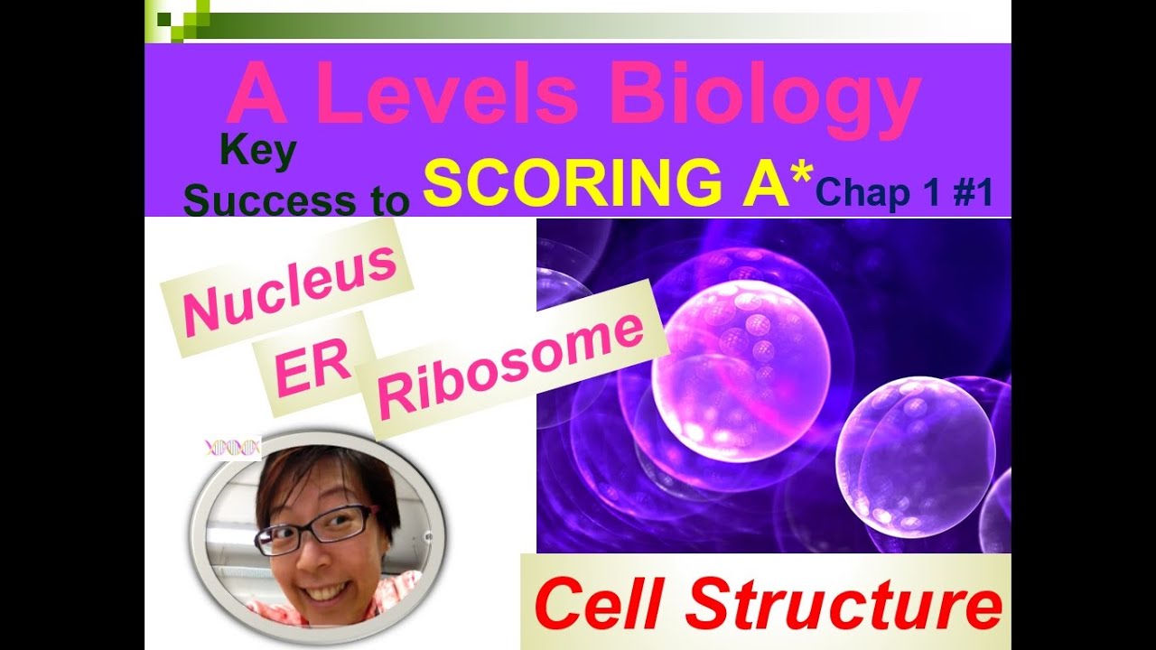 Cell Structure - Nucleus, ER & Ribosome | Lesson 1-1 | YH Ho