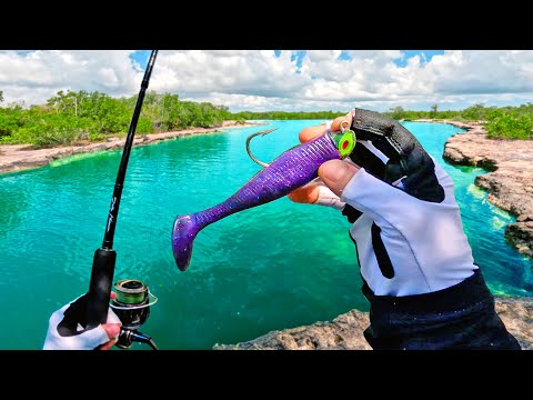 Florida Keys Land-Based Fishing – I Caught the Canal Monster!