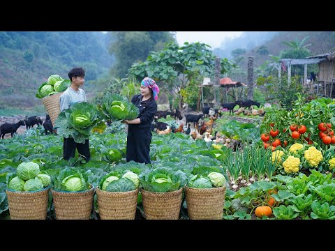You Won’t Believe This Harvest 😱 | Clean Farm Food Sold at the Market (Off-Grid Life)