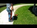 Motoguadaña Stihl FS38 | Video