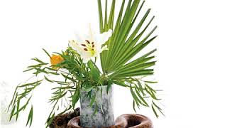 Noah Gundersen - Cocaine, Sex & Alcohol