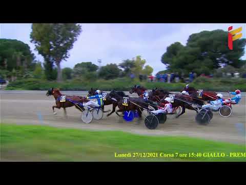 VII Corsa del 27 Dicembre 2021 - TROFEO SAN SILVESTRO - Finale - Metri 1600