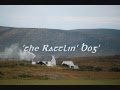 The Rattlin' Bog - The Irish Rovers (w/ Lyrics)