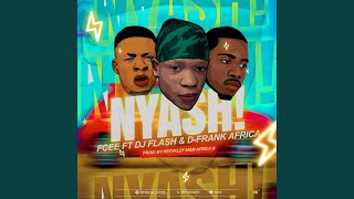 Nyash (feat. Dj Flash &amp; D-Frank Africa)
