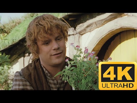 Concerning Hobbit | The Lord Of The Rings: The Fellowship Of The Ring 4K HDR!