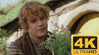 Download lagu Concerning Hobbit | The Lord Of The Rings: The Fellowship Of The Ring 4K HDR! mp3