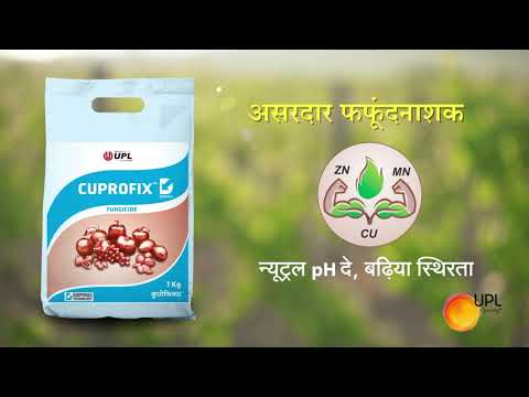 1kg UPl Cuprofix Fungicide