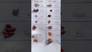 Types of crops #Kharif and Rabi crops #shorts