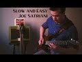 Slow and Easy | Joe Satriani | Guitar Cover | DIY Soldano Preamp