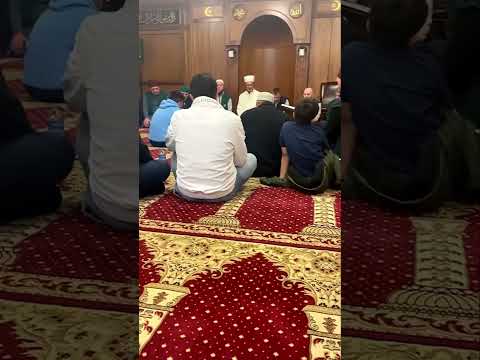 Bosnian Cultural Event