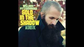 Gold in Shadow - William Fitzsimmons
