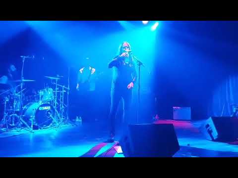 Find You and Rastify (Live) - The Mandrake Mafia