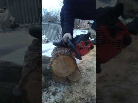 Jonsered 2036 vs. old oak старый дуб