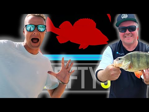 ANGELNEWS 23/25 - Abschied bei Wunsckopf, David Wenzel neues Format, Red Perch ist zurück...