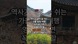 경상도 영주 맛집 TOP5 #영주맛집 #영주숨은맛집 #영주여행 #영주노포맛집 #영주전통맛집 #부석사맛집 #영주로컬맛집 #경북맛집 #on더핫플맛집 #shorts