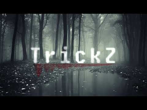 TrickZ - Rundumschlag (prod. by Beatbrothers / mix. by YiCy-Music)