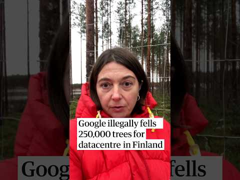 Google illegally fells 250,000 trees for datacentre in Finland