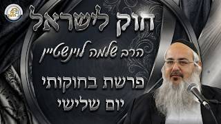 חוק לישראל - פרשת בחוקותי - יום שלישי | הרב שלמה לוינשטיין