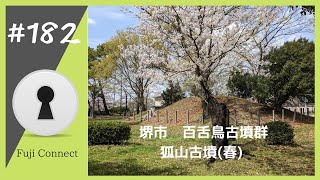 #182 大阪府堺市　狐山古墳