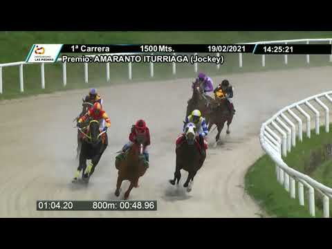 200219 c01 - NABUCODONOSOR - HIPODROMO LAS PIEDRAS