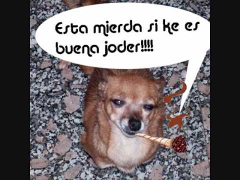 LA PERRA - LOS HISPANOS