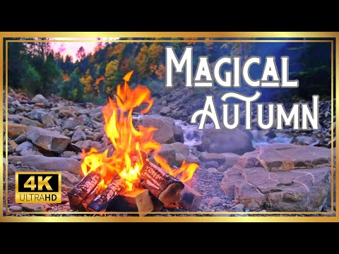 4K UHD Autumn River Campfire – 3 Hours of Relaxing Crackling Fire & Nature Sounds (High Quality)
