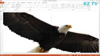 [EZTV] 99초 파워포인트 #21. PPT 배경제거 기능 배우기.