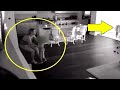 Babysitter Hears Noise Upstairs So Dad Checks Hidden Camera And Captures A Nightmare In His Kitchen