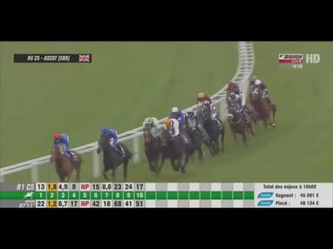 17/10/2015 Champion Stakes Gr I FASCINATING ROCK