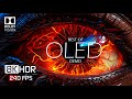 8K HDR 240 FPS Dolby Vision Special OLED Demo