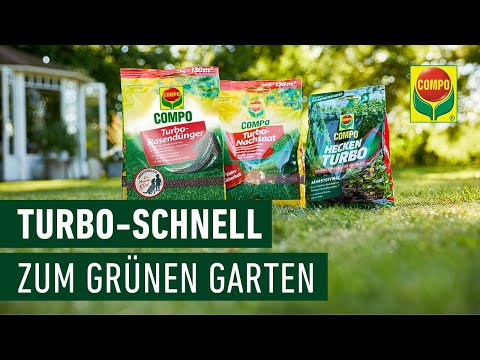 Compo Turbo Nachssat & Dünger