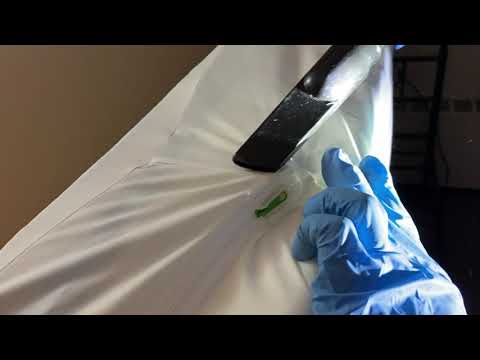 Bed Bugs Exterminated in Middletown, NJ