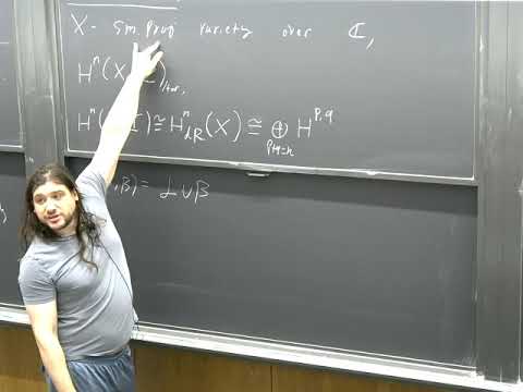 Jacob Tsimerman - o-minimality and Hodge Theory