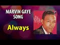 Marvin Gaye Always