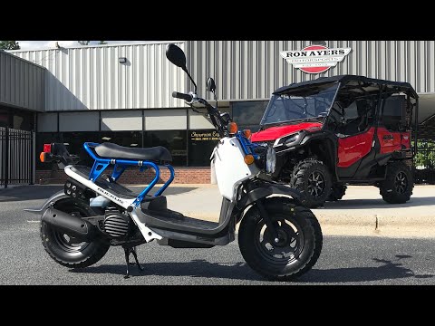 2022 Honda Ruckus in Greenville, North Carolina - Video 1