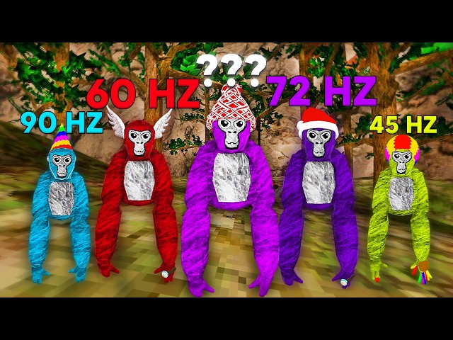 Abusing EVERY Hertz (Gorilla Tag VR)