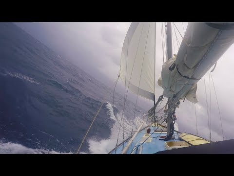 Blame it on the Dolphins?  — Sailing Uma [Step 108]