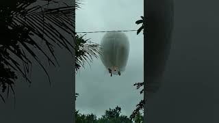 Download lagu detik-detik balon udara gagal terbang #short #shorts mp3