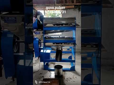 Fruit Pulper machine