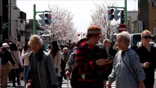 LUKA - I Count The Years [Official Video]