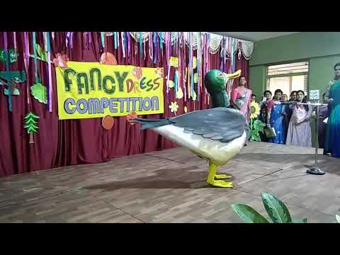 Fancy dress duck
