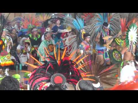 Avaliações da Pirâmide do Povo Dançante, Acesso, Horário de Funcionamento｜Ao redor das Ruínas de Monte Alban