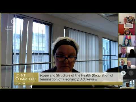 Bríd Smith Challenges Tendering for Research Instead of Chair