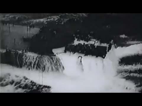 Cobra and the Showboat: The Typhoon of 1944 Part Two