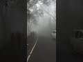 Silu Silu Vendru Poongatru Whatsapp Status BeautyOf Nature Bikeridewhatsappstatus Nature Shorts