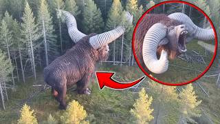 Most Terrifying & Strangest ANIMALS To Ever Live On Earth